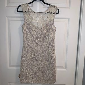 bebe lace dress